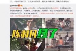 王轮最新爆料视频大全,揭秘幕后真相，热点事件全解析